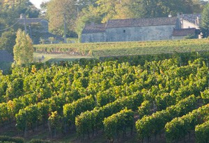 Puisseguin Saint-Emilion